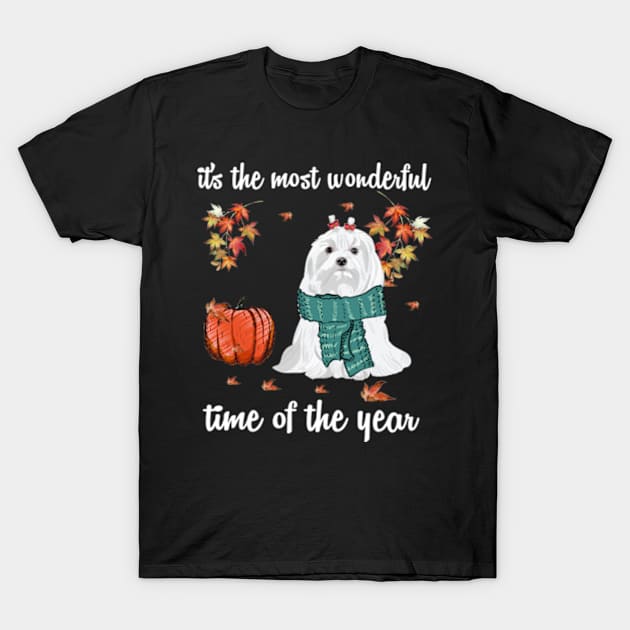 Maltese Dog Autumn Fall Most Wonderful Time Maple Gift T-Shirt by AstridLdenOs